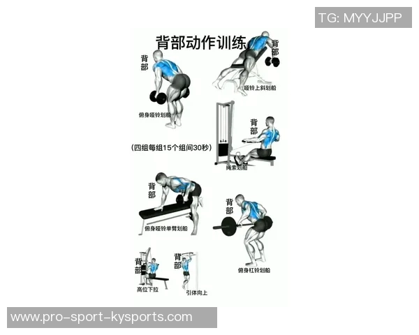 多功能哑铃可调节设计助力家庭健身提升锻炼效果与空间利用率